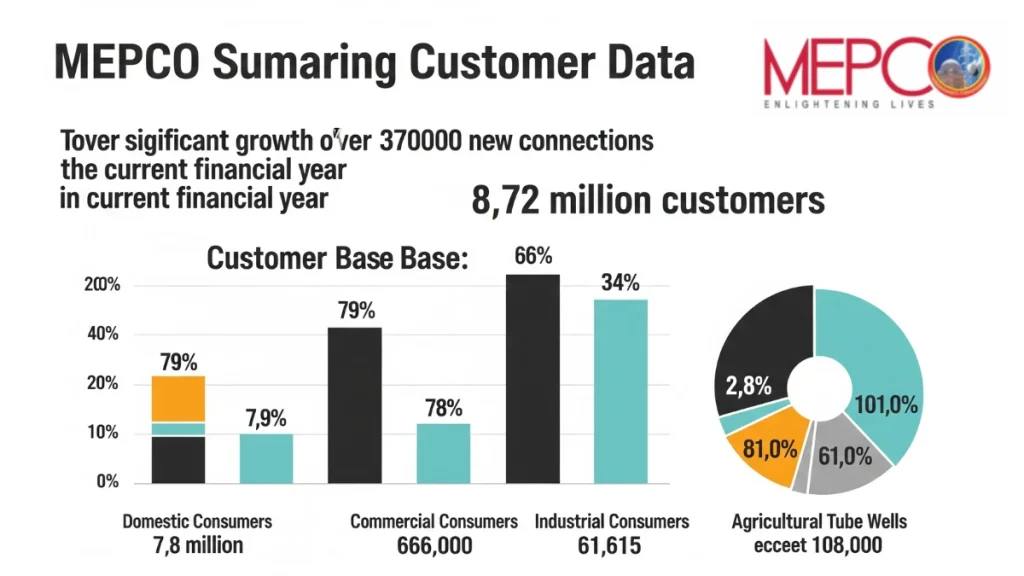MEPCO Performance Report 2024-25
